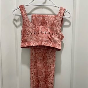CYCLEBAR GLYDER Pink Snakeskin Set